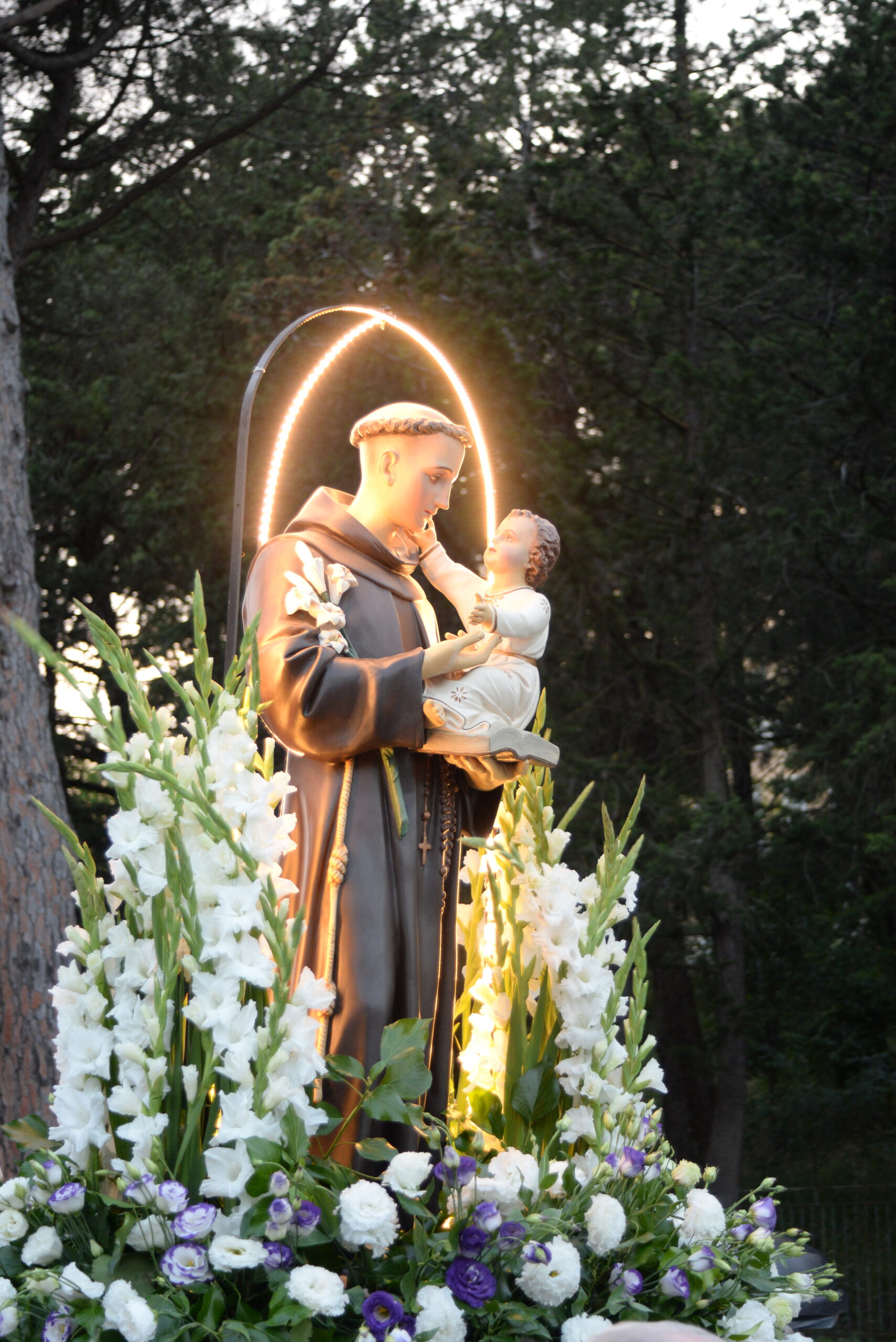 Festeggiamenti in onore di Sant’Antonio di Padova 2024